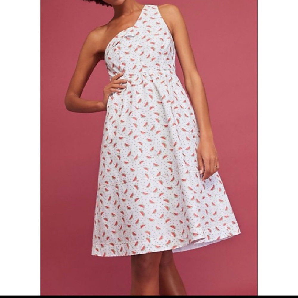 HD Paris Embroidered Watermelon One Shoulder Dress